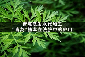 青蒿洗发水代加工_