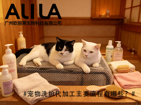 宠物洗护代加工主要流程有哪些.jpg