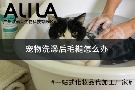 宠物洗澡后毛糙怎么办：成因拆解与全维度专业改善方案深度解析 广州欧丽莱生物科技有限公司
