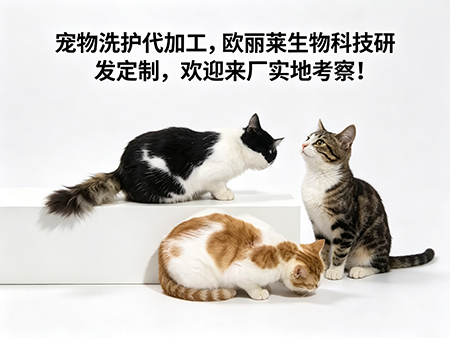 2026宠物洗护代加工标准核心内容拆解，广州欧丽莱生物科技有限公司深度解读行业规则